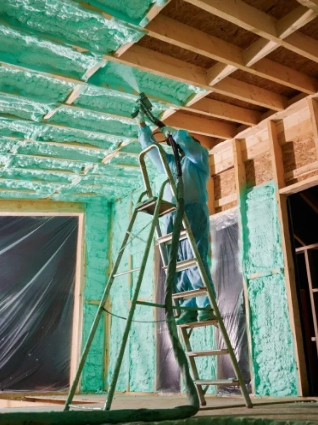 Seven types of insulation for the home: which one to choose and why