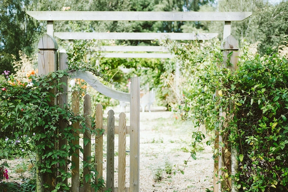 6 mistakes in the garden that are most often made