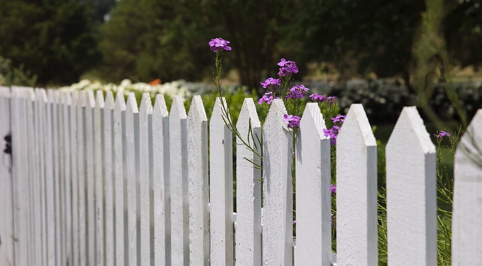 Instead of a fence: 7 ways to make your summer cottage more private
