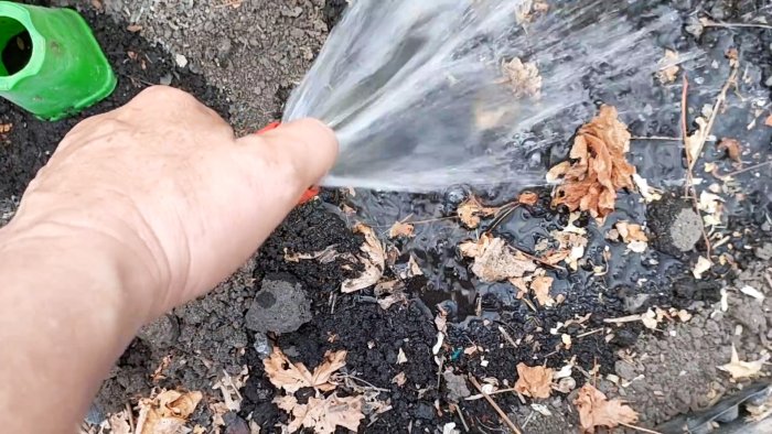 Life hack for gardeners: Watering from a barrel without a pump