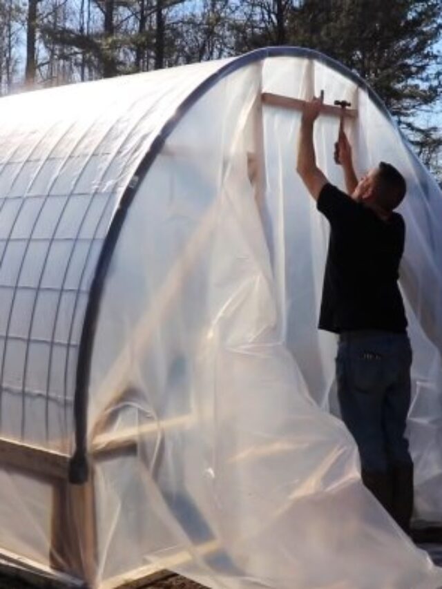 How To Build Cheap Large Greenhouse
